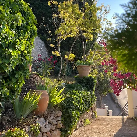 Riviera Vue Panoramique Et Nature * Èze